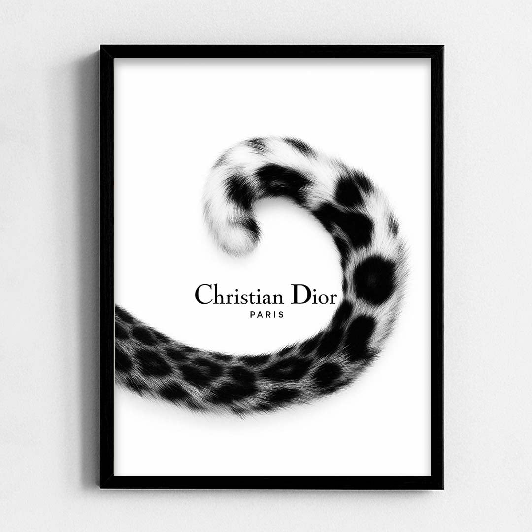 Christian Dior Frame