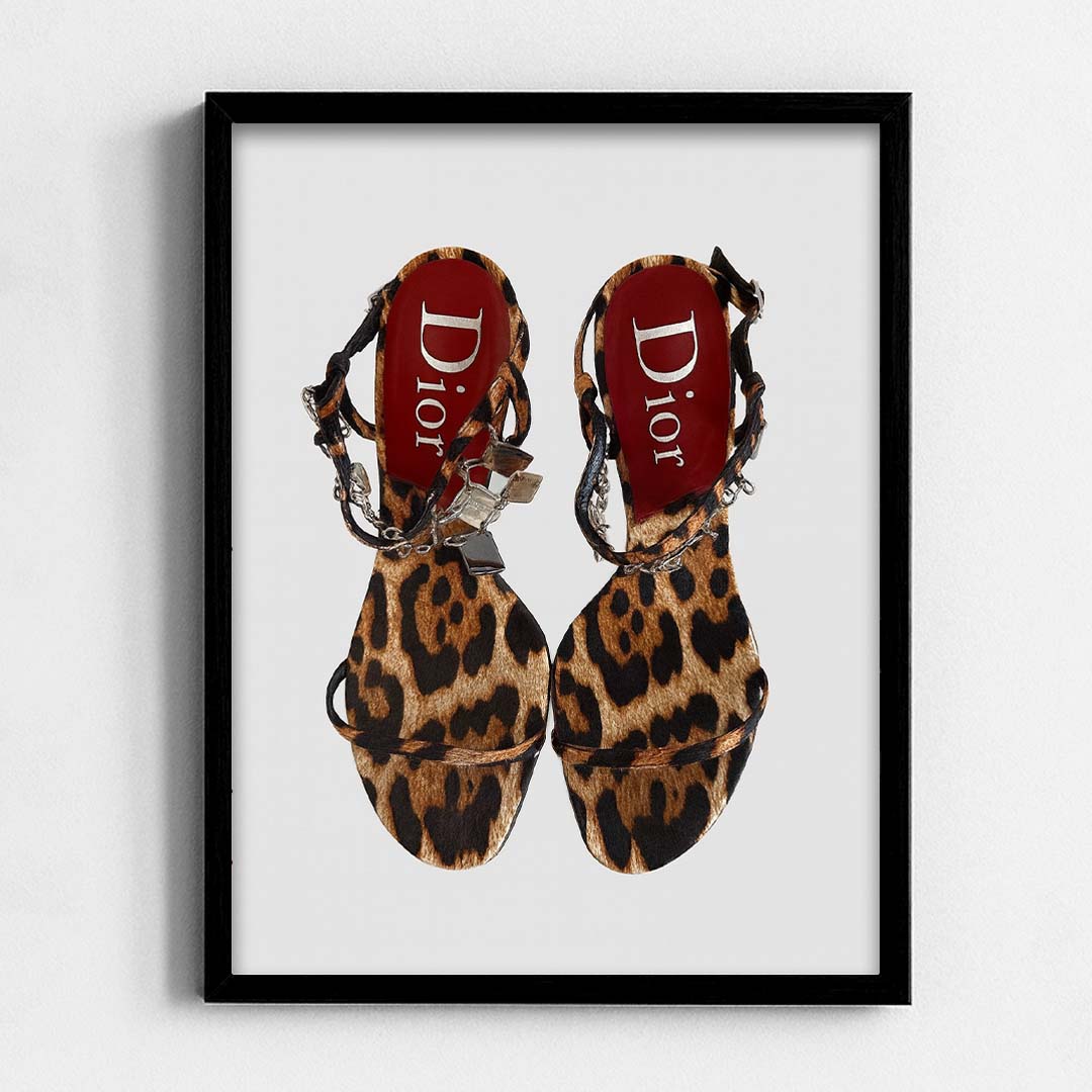 Dior Heels Frame